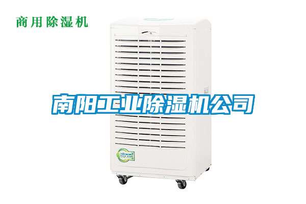 南阳星空娱乐彩票是什么网站公司