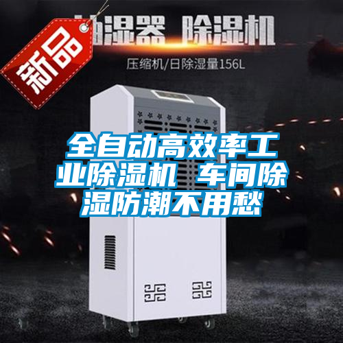 全自动高效率星空娱乐彩票是什么网站 车间除湿防潮不用愁