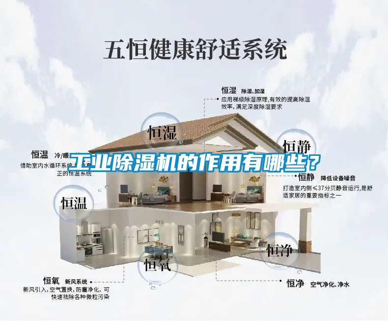 星空娱乐彩票是什么网站的作用有哪些？