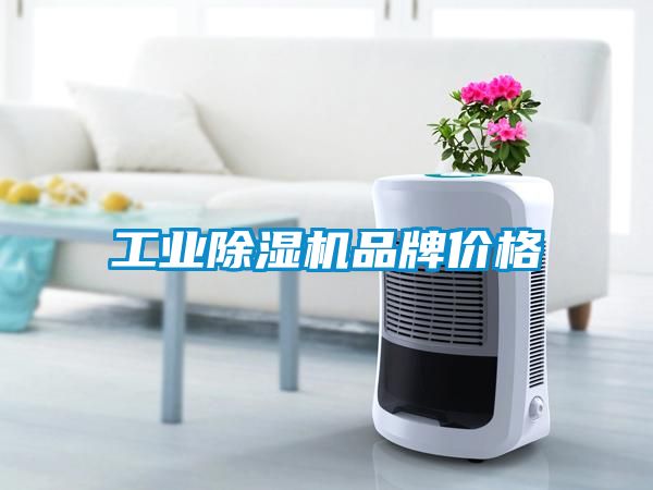 星空娱乐彩票是什么网站品牌价格