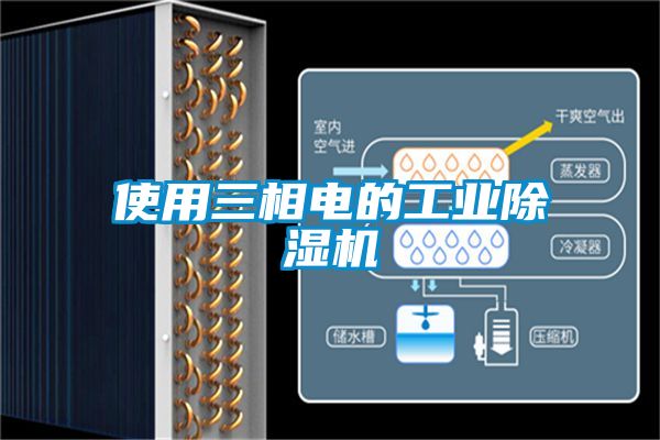 使用三相电的星空娱乐彩票是什么网站