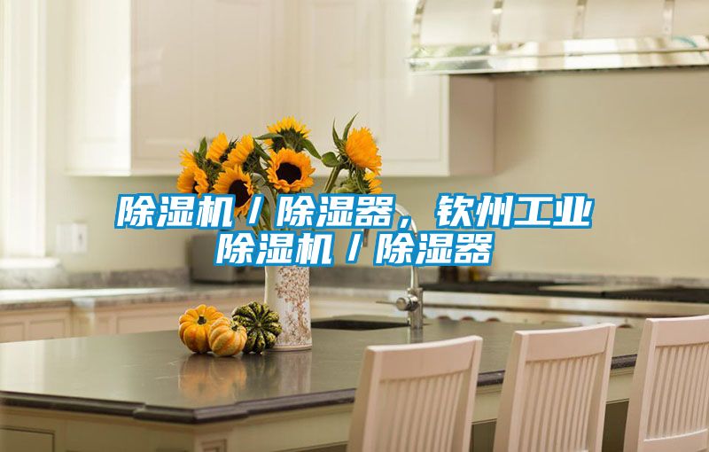 除湿机／除湿器，钦州星空娱乐彩票是什么网站／除湿器
