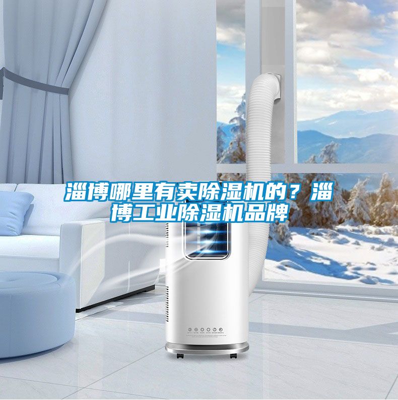 淄博哪里有卖除湿机的？淄博星空娱乐彩票是什么网站品牌
