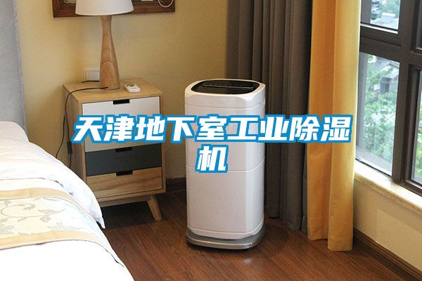 天津地下室星空娱乐彩票是什么网站