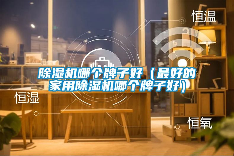 除湿机哪个牌子好（最好的星空体育app官网哪个牌子好）