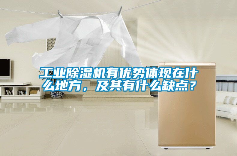 星空娱乐彩票是什么网站有优势体现在什么地方，及其有什么缺点？