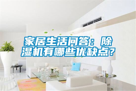 家居生活问答：除湿机有哪些优缺点？