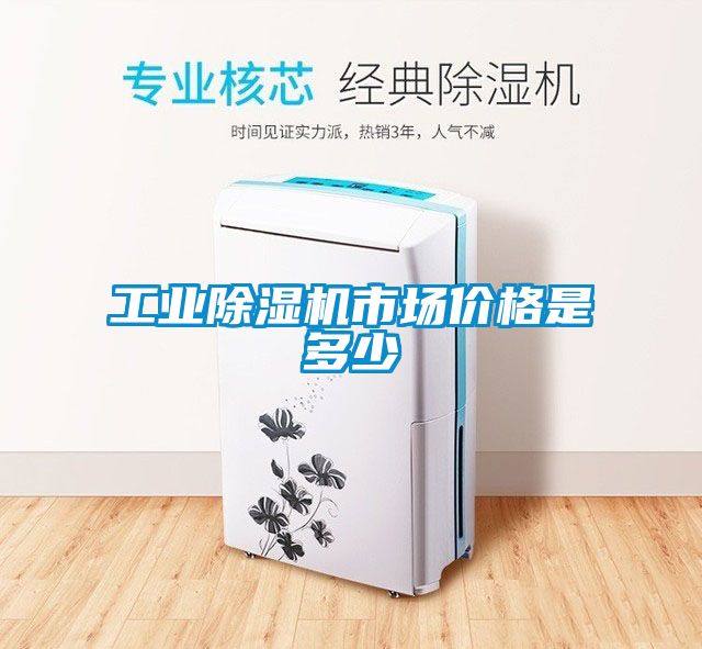 星空娱乐彩票是什么网站市场价格是多少