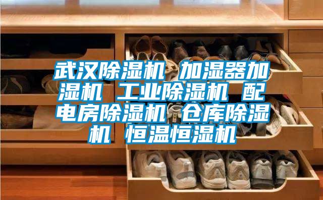 武汉除湿机 加湿器加湿机 星空娱乐彩票是什么网站 配电房除湿机 仓库除湿机 恒温恒湿机