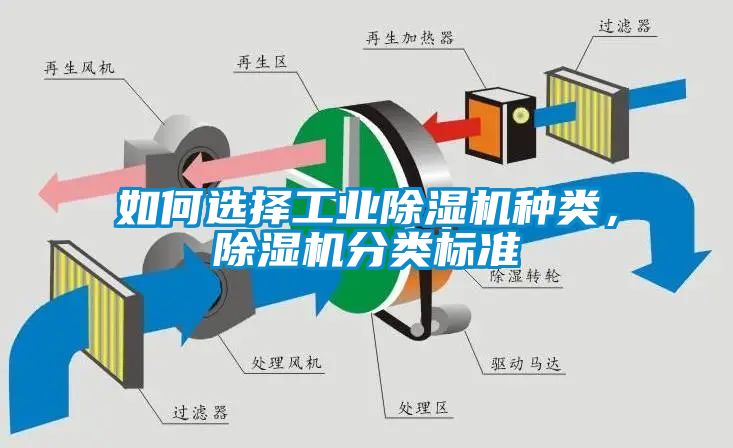 如何选择星空娱乐彩票是什么网站种类，除湿机分类标准