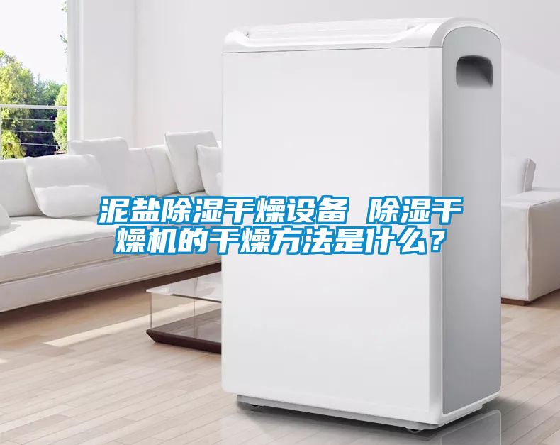 泥盐除湿干燥设备 除湿干燥机的干燥方法是什么？