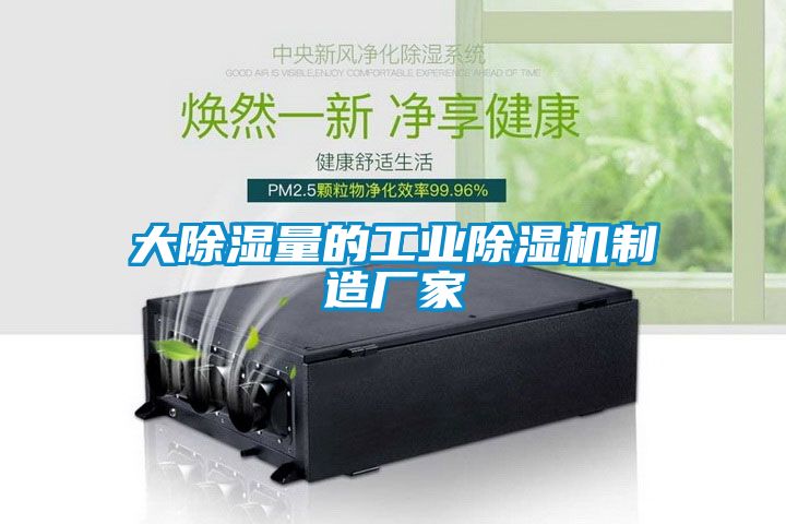 大除湿量的星空娱乐彩票是什么网站制造厂家