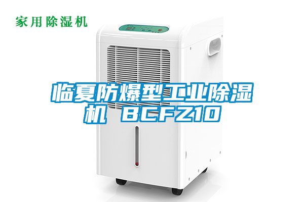 临夏防爆型星空娱乐彩票是什么网站 BCFZ10