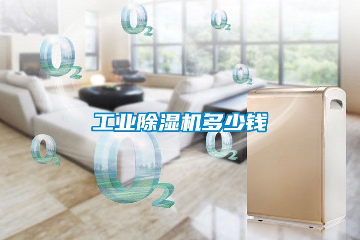 星空娱乐彩票是什么网站多少钱