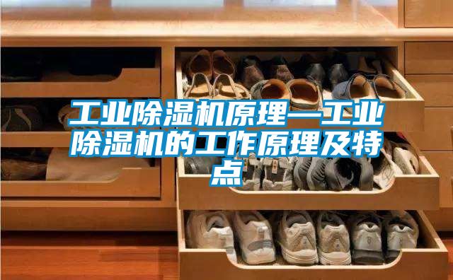 星空娱乐彩票是什么网站原理—星空娱乐彩票是什么网站的工作原理及特点