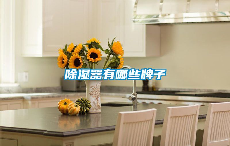 除湿器有哪些牌子