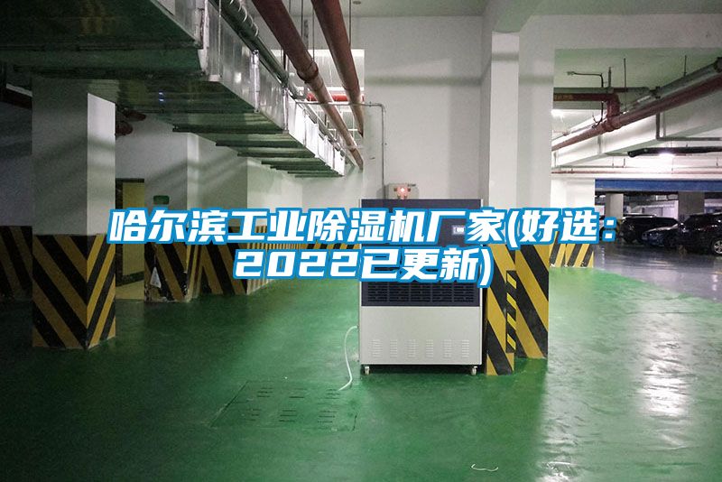 哈尔滨星空娱乐彩票是什么网站厂家(好选：2022已更新)