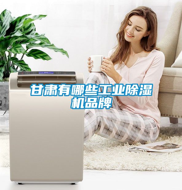 甘肃有哪些星空娱乐彩票是什么网站品牌