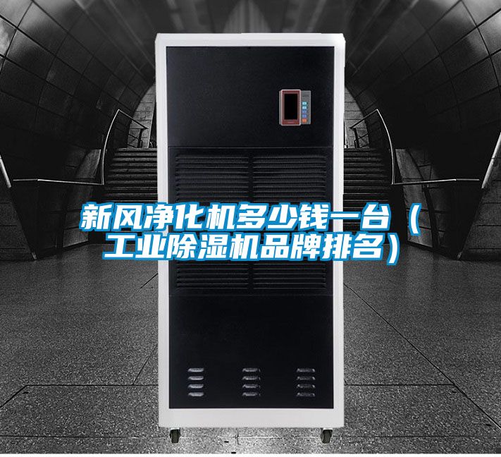 新风净化机多少钱一台（星空娱乐彩票是什么网站品牌排名）
