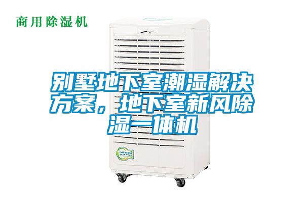 别墅地下室潮湿星空app6下载，地下室新风除湿一体机