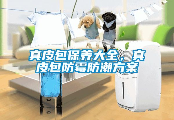 真皮包保养大全，真皮包防霉防潮方案