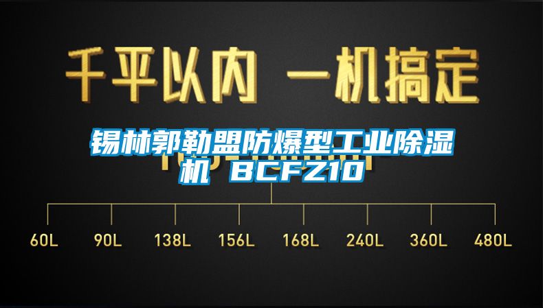 锡林郭勒盟防爆型星空娱乐彩票是什么网站 BCFZ10