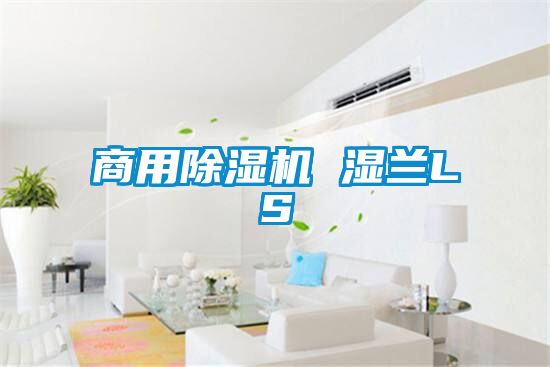 星空app官网下载手机版 湿兰LS