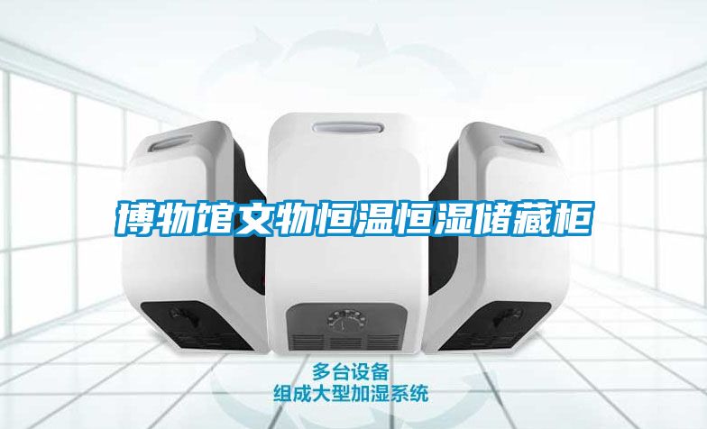 博物馆文物恒温恒湿储藏柜