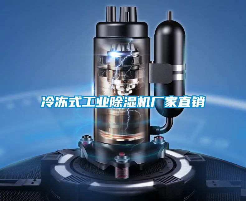 冷冻式星空娱乐彩票是什么网站厂家直销