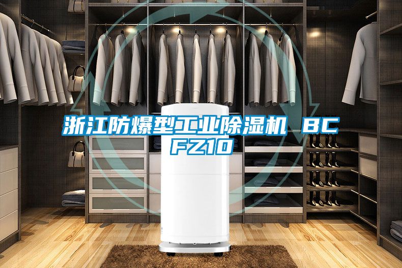 浙江防爆型星空娱乐彩票是什么网站 BCFZ10
