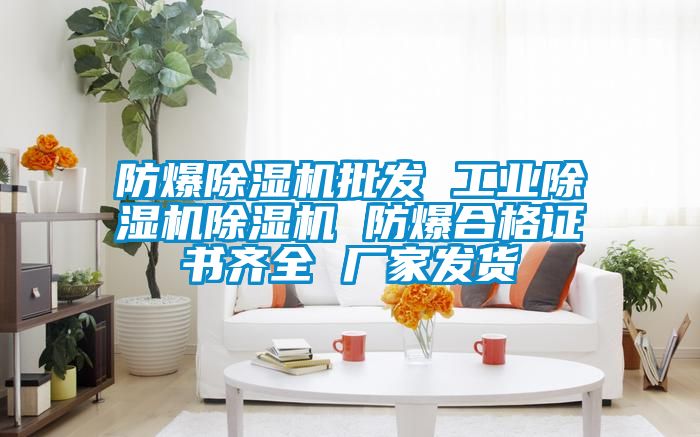 防爆除湿机批发 星空娱乐彩票是什么网站除湿机 防爆合格证书齐全 厂家发货