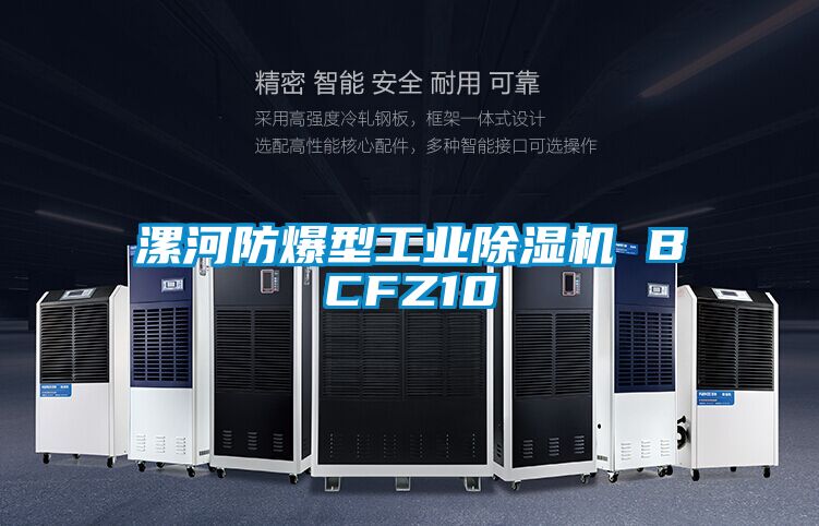 漯河防爆型星空娱乐彩票是什么网站 BCFZ10