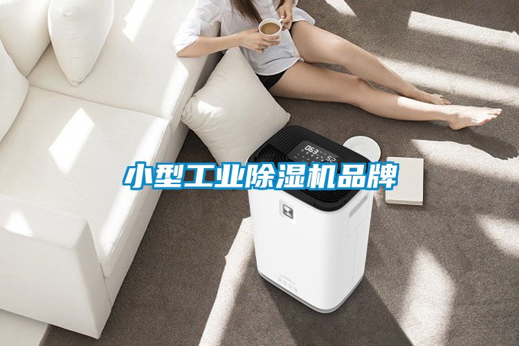 小型星空娱乐彩票是什么网站品牌