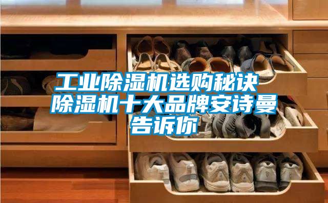星空娱乐彩票是什么网站选购秘诀 除湿机十大品牌xk星空体育官网告诉你