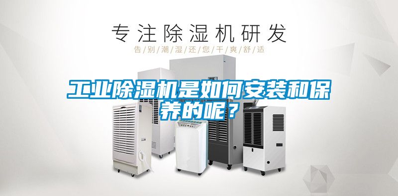 星空娱乐彩票是什么网站是如何安装和保养的呢？