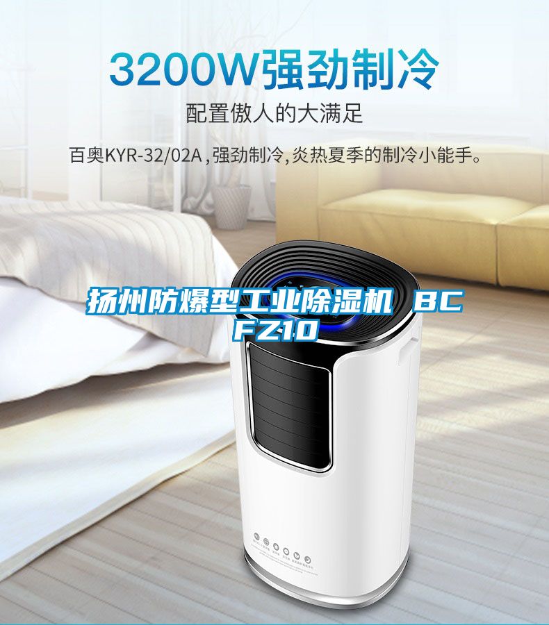 扬州防爆型星空娱乐彩票是什么网站 BCFZ10