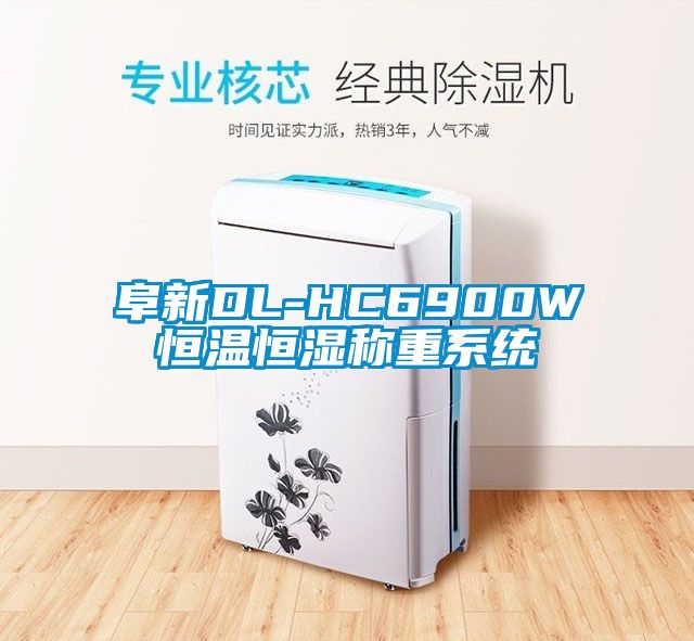 阜新DL-HC6900W恒温恒湿称重系统