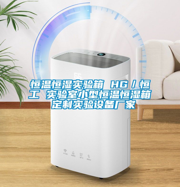 恒温恒湿实验箱 HG／恒工 实验室小型恒温恒湿箱 定制实验设备厂家