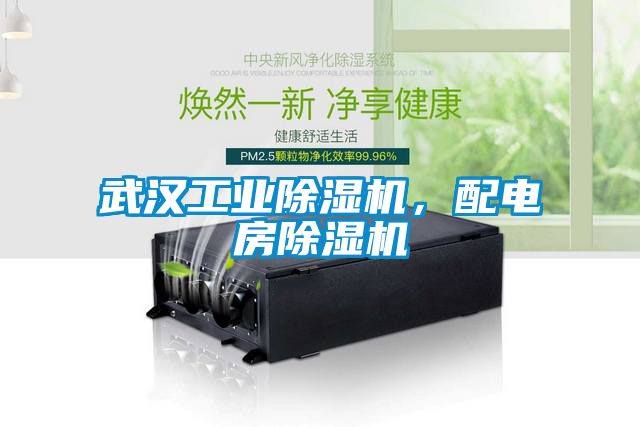武汉星空娱乐彩票是什么网站，配电房除湿机