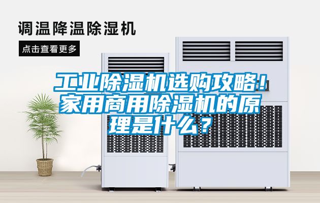 星空娱乐彩票是什么网站选购攻略！家用星空app官网下载手机版的原理是什么？