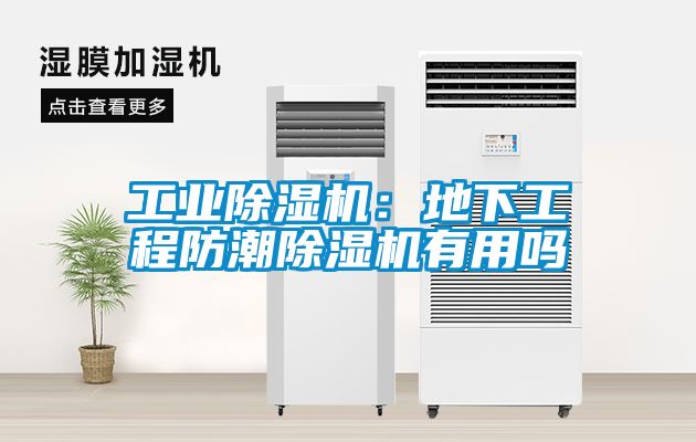 星空娱乐彩票是什么网站：地下工程防潮除湿机有用吗