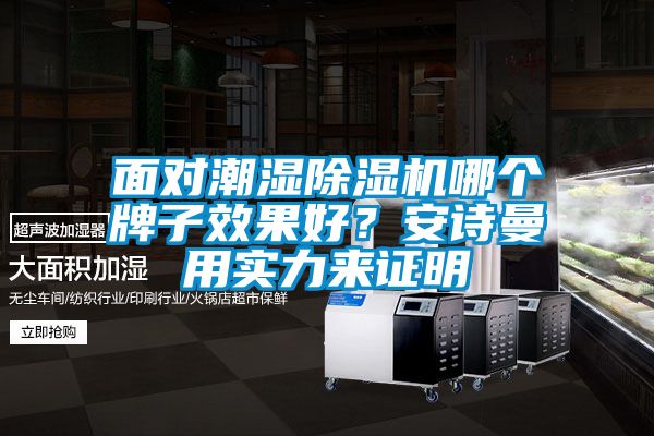 面对潮湿除湿机哪个牌子效果好？xk星空体育官网用实力来证明