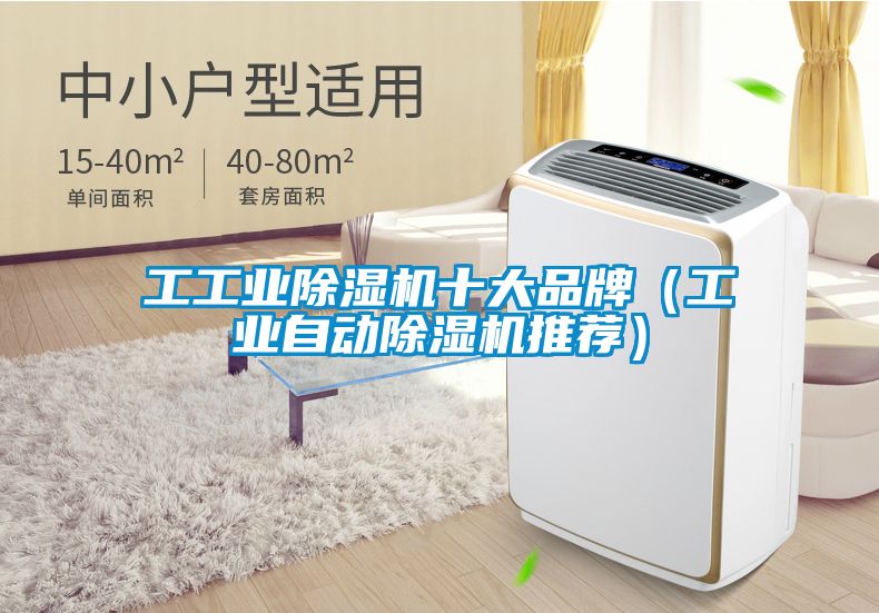 工星空娱乐彩票是什么网站十大品牌（工业自动除湿机推荐）