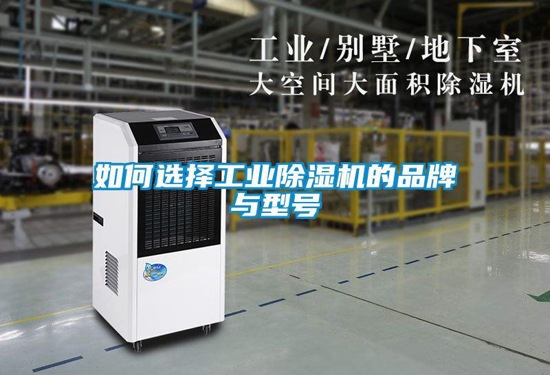 如何选择星空娱乐彩票是什么网站的品牌与型号