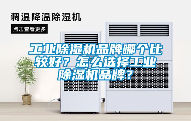 星空娱乐彩票是什么网站品牌哪个比较好？怎么选择星空娱乐彩票是什么网站品牌？