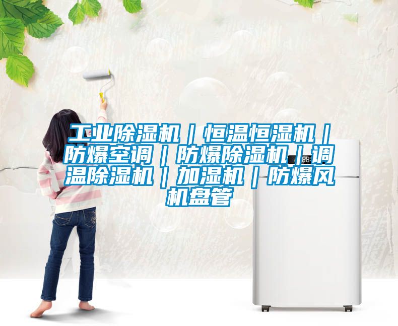 星空娱乐彩票是什么网站｜恒温恒湿机｜防爆空调｜防爆除湿机｜调温除湿机｜加湿机｜防爆风机盘管