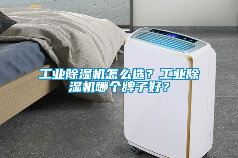 星空娱乐彩票是什么网站怎么选？星空娱乐彩票是什么网站哪个牌子好？