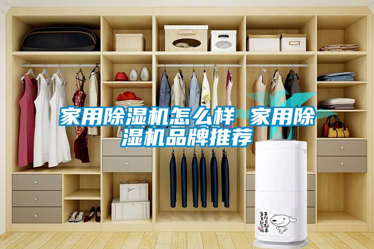 星空体育app官网怎么样 星空体育app官网品牌推荐