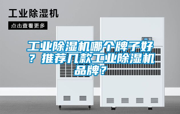 星空娱乐彩票是什么网站哪个牌子好？推荐几款星空娱乐彩票是什么网站品牌？