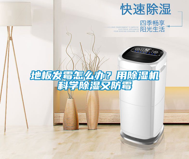 地板发霉怎么办？用除湿机科学除湿又防霉
